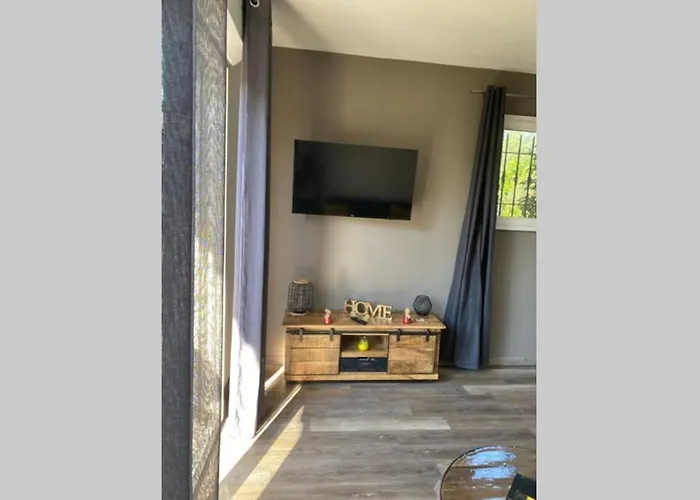 Spacieuse Avec Acces Piscine דירה גהיסונאצ'יה